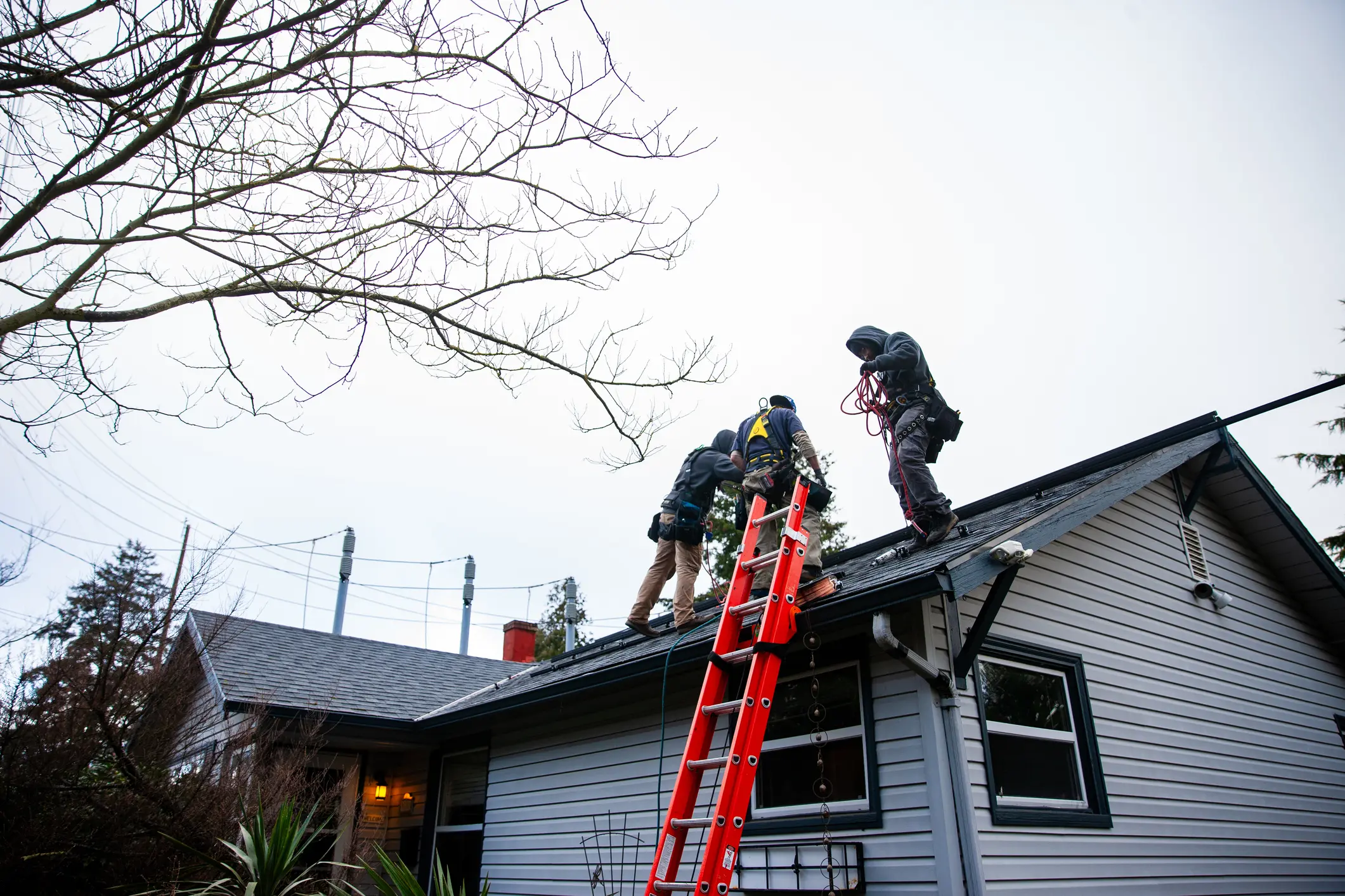 Three roofers on roof with red ladder