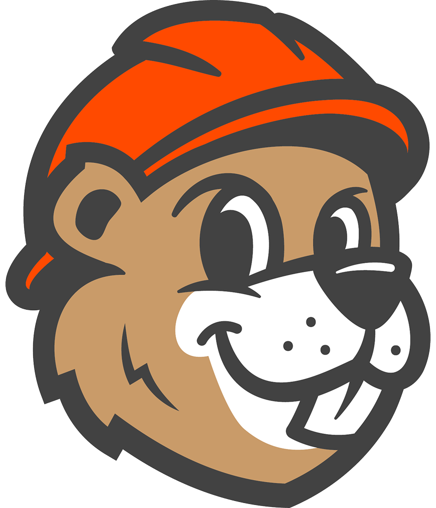 Beaver Roofing